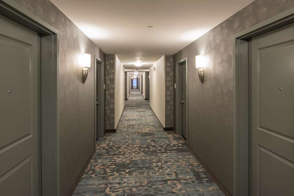 Hilton Garden Inn Mount Holly/Westampton Εσωτερικό φωτογραφία